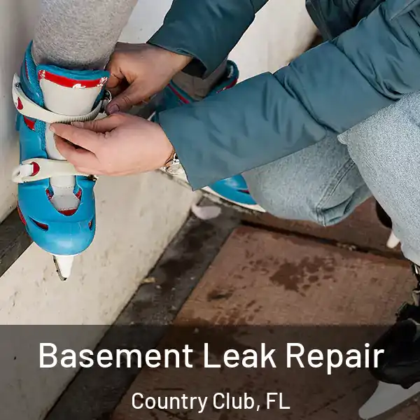  Basement Leak Repair Country Club, FL