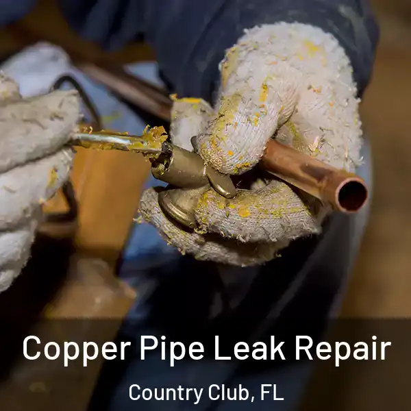  Copper Pipe Leak Repair Country Club, FL