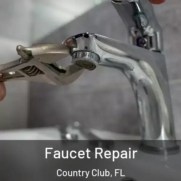  Faucet Repair Country Club, FL