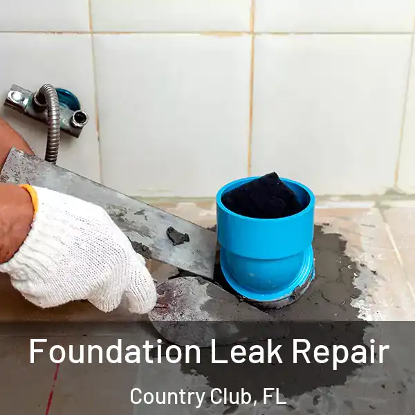  Foundation Leak Repair Country Club, FL