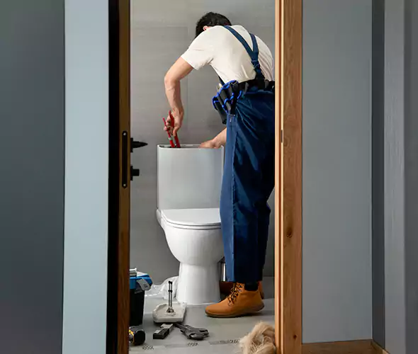 Professional Plumbers for Toilet Bowl Replacement in Country Club, FL: Schedule Affordable Toilet Replacement Services With Us