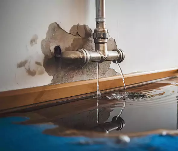 Professional Water Damage Restoration Experts in Country Club, FL — Fast, Reliable & Certified