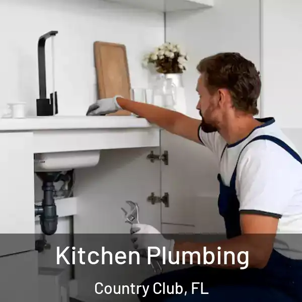  Kitchen Plumbing Country Club, FL