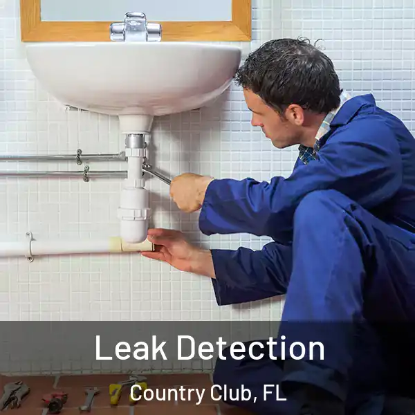  Leak Detection Country Club, FL