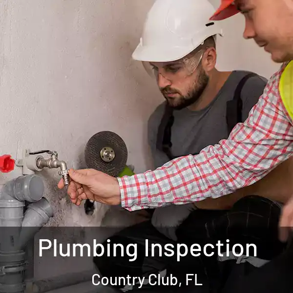  Plumbing Inspection Country Club, FL