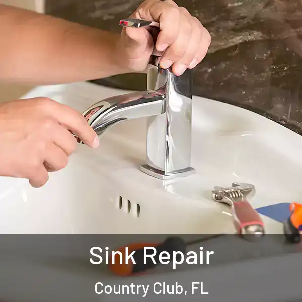  Sink Repair Country Club, FL