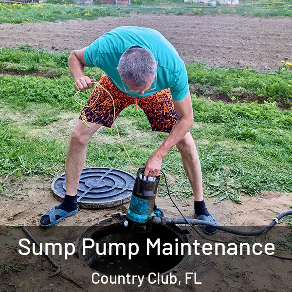  Sump Pump Maintenance Country Club, FL