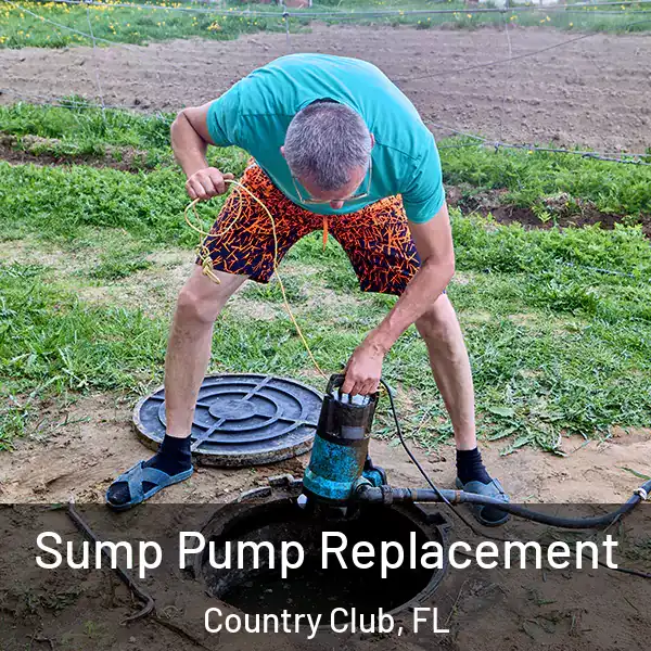 Sump Pump Replacement Country Club, FL