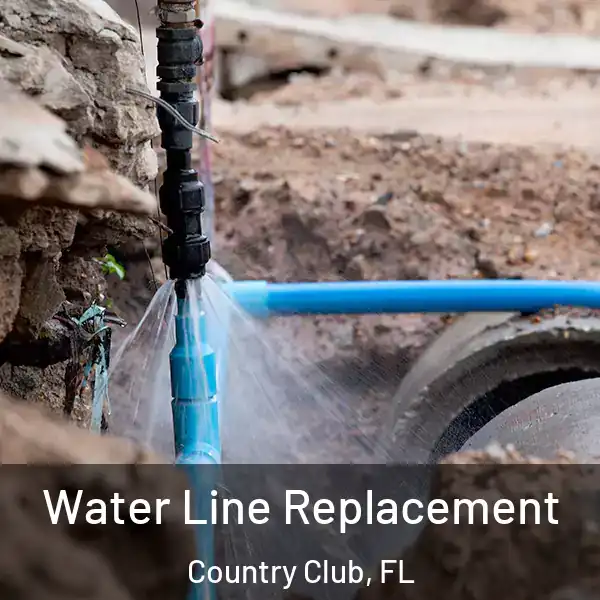  Water Line Replacement Country Club, FL
